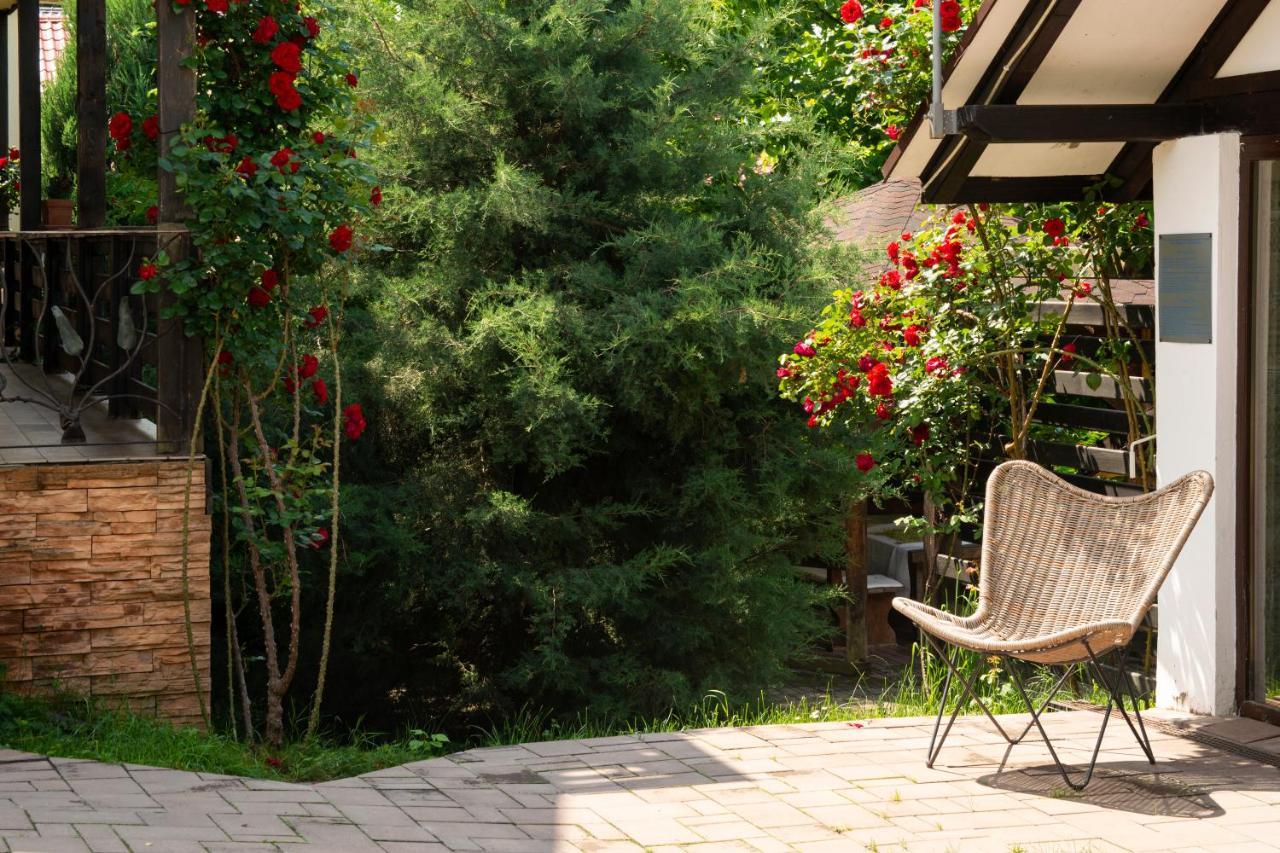 Pension Andra'S House Horezu Exterior foto